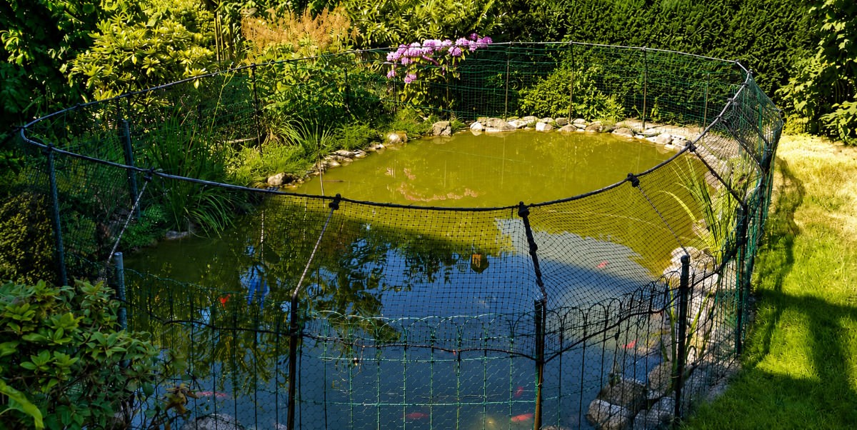 Vogelschutznetze nach Maß