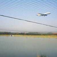 Teichnetz (Reiher- und Greifvogelschutz)