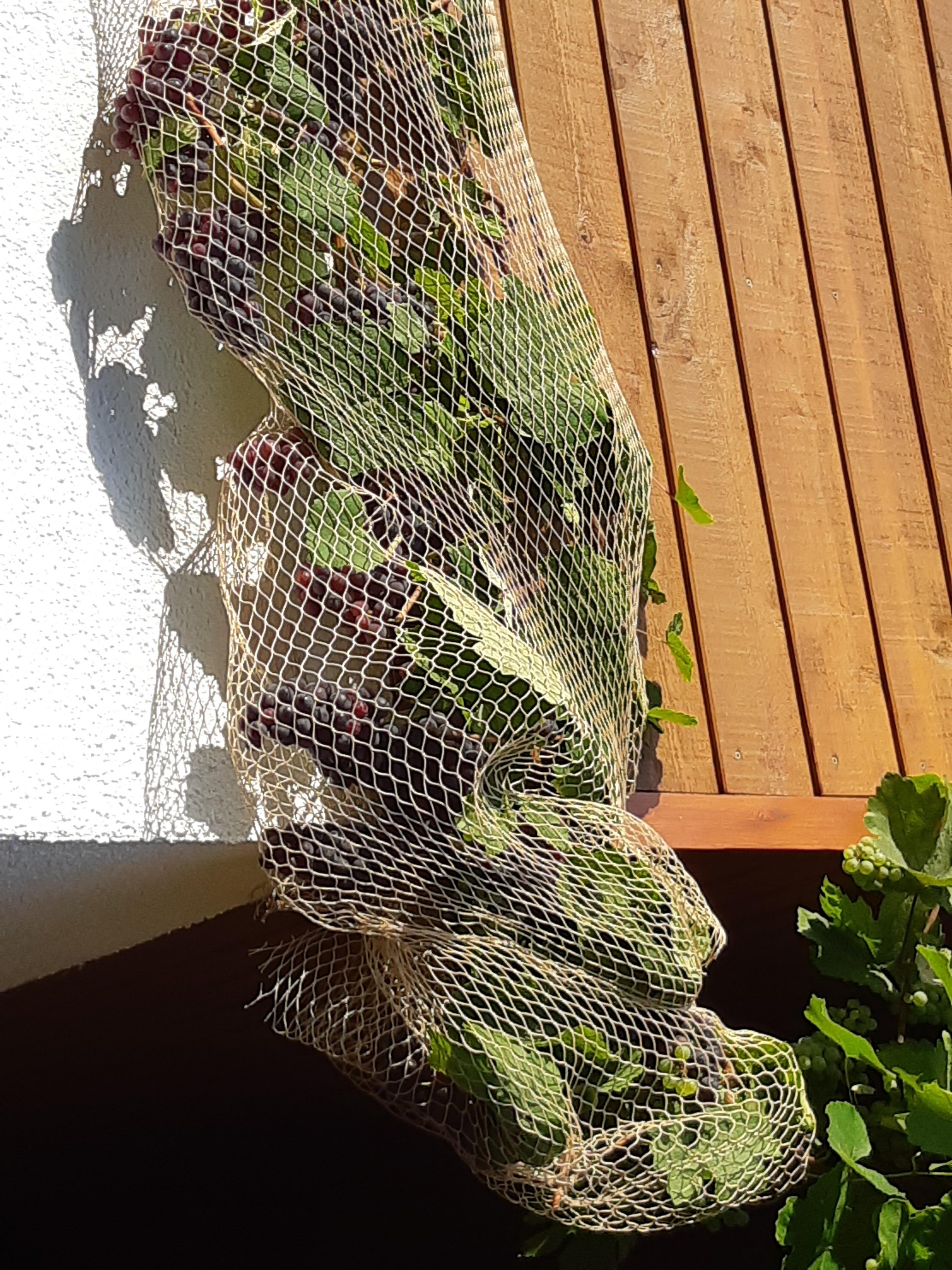 Perel Vogelschutznetz 2 x 10 m Schutz Netz Vogel abhalten schützen 