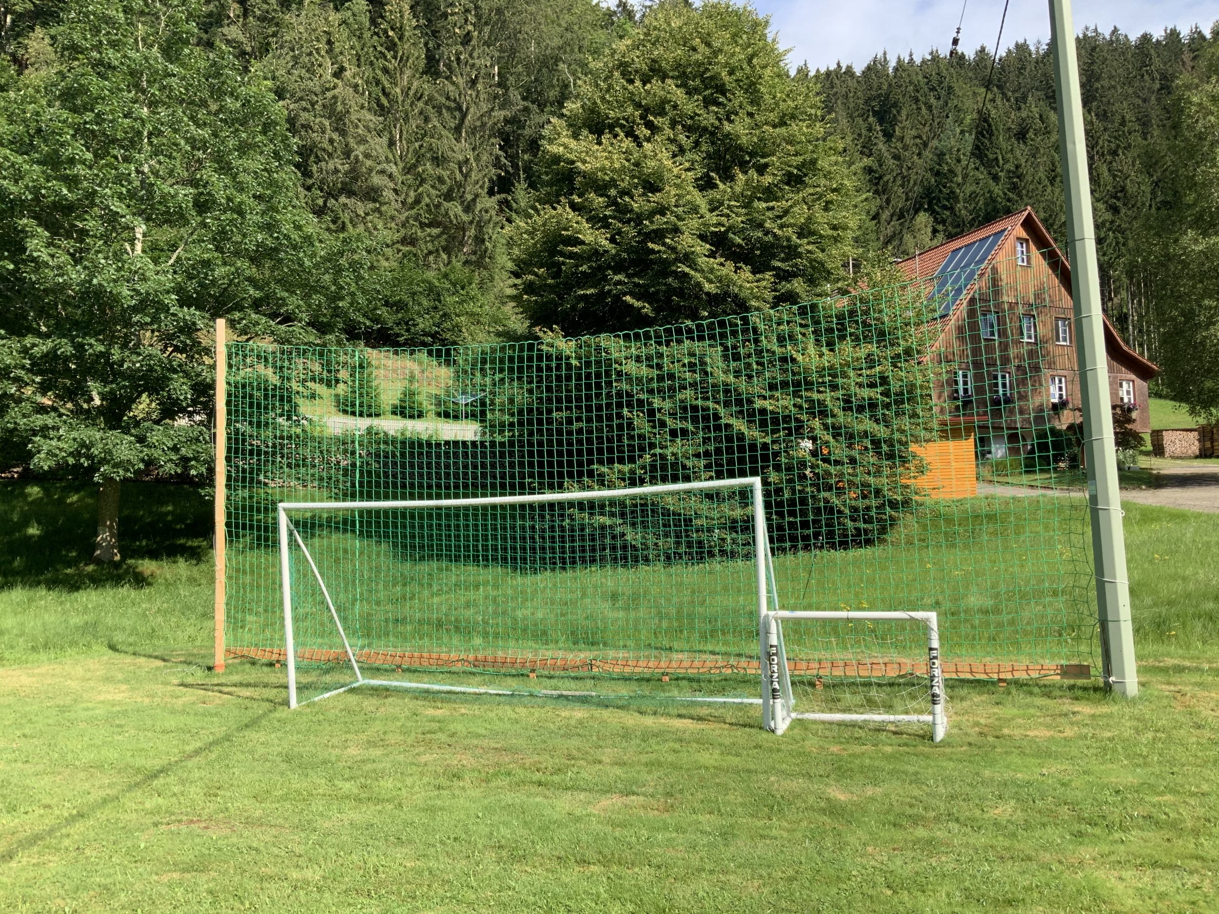 Ballnetz Höhe 5,00 m Länge 40,00 m grün Ballfangnetz Fangnetz Fußballnetz Netz 